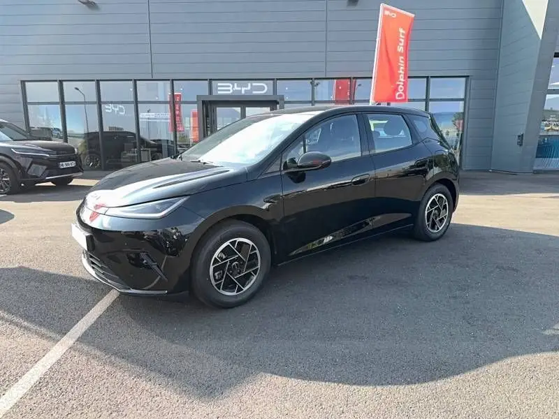 BYD  DOLPHIN G