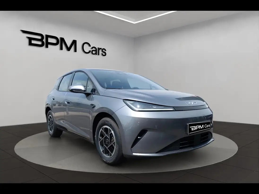 BYD    DOLPHIN G