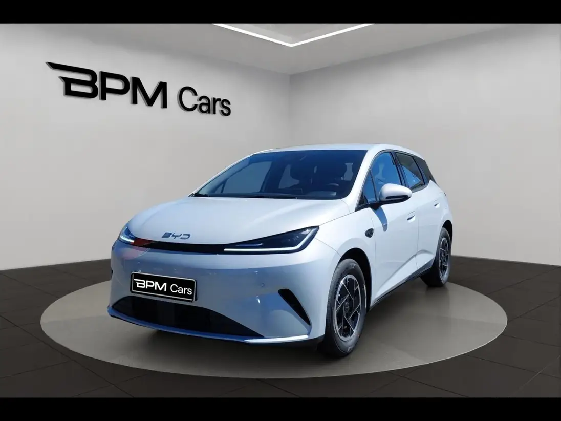 BYD  DOLPHIN G