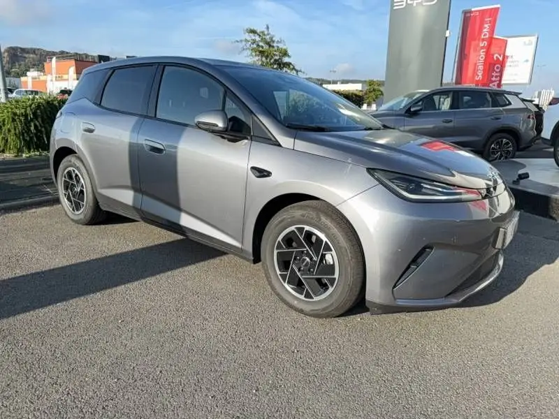 BYD DOLPHIN G