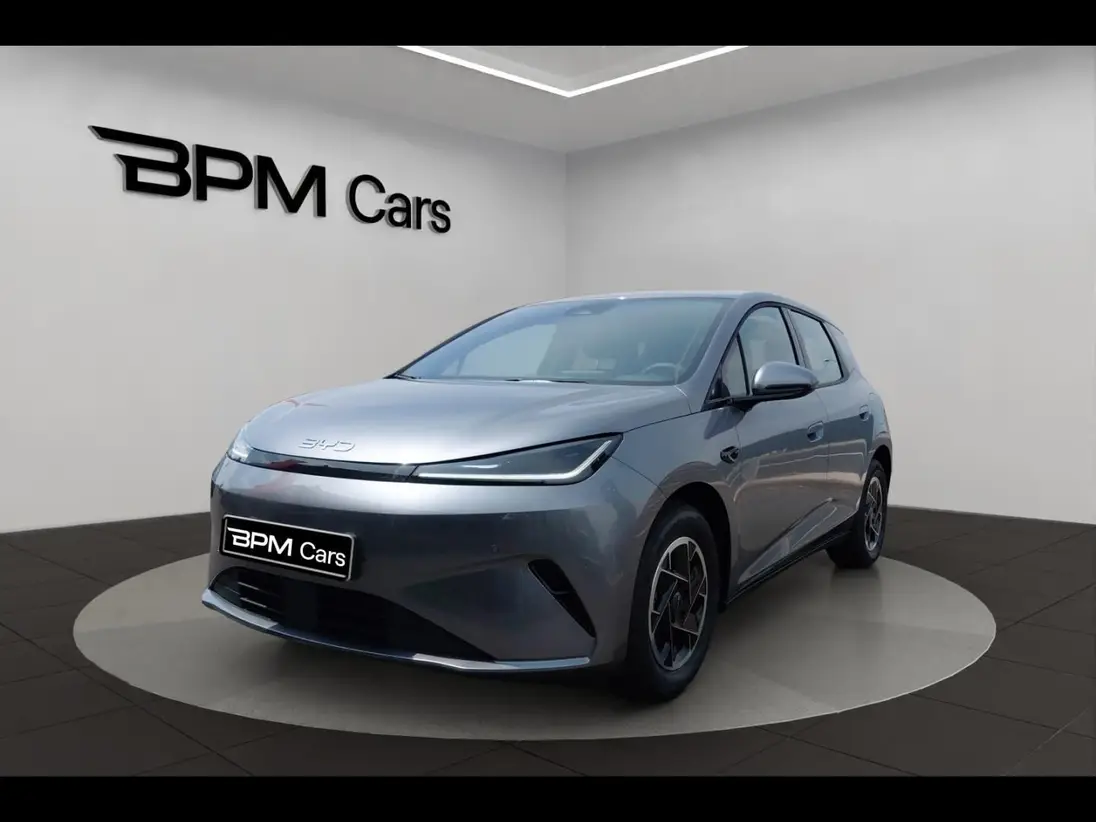 BYD  DOLPHIN G