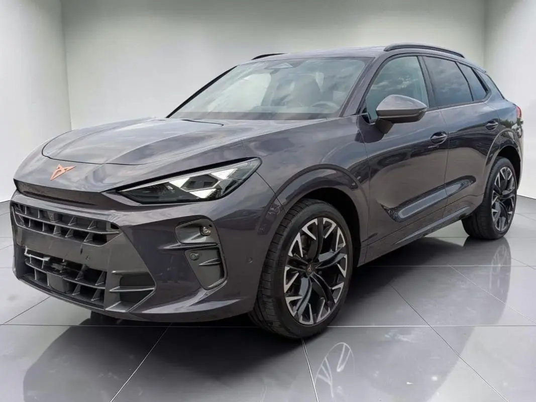 CUPRA  TERRAMAR